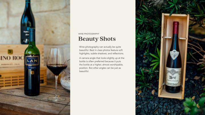 Vineify > Brand Guide