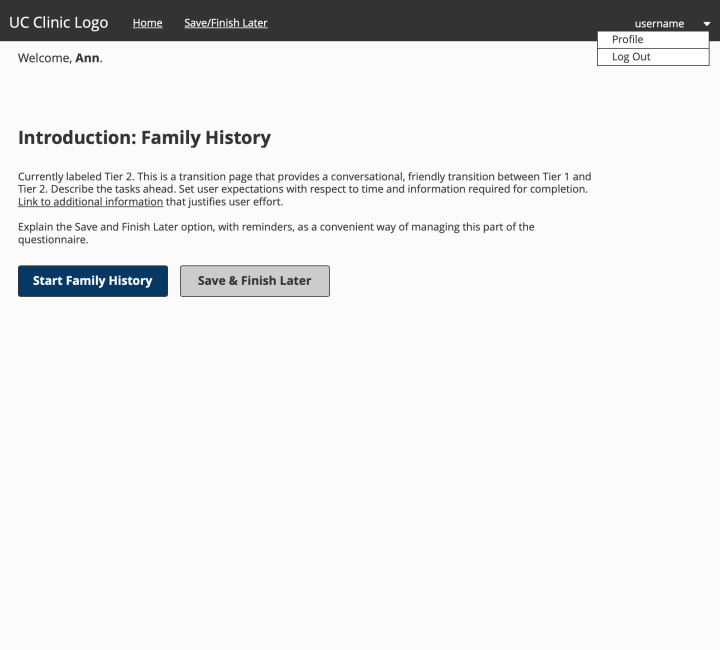 Athena > Wireframe > Transitional/Introduction Page